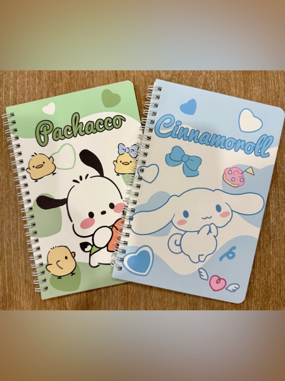 Sanrio Pochacco & Cinnamoroll Spiral Notebooks - Pastel Green & Light Blue